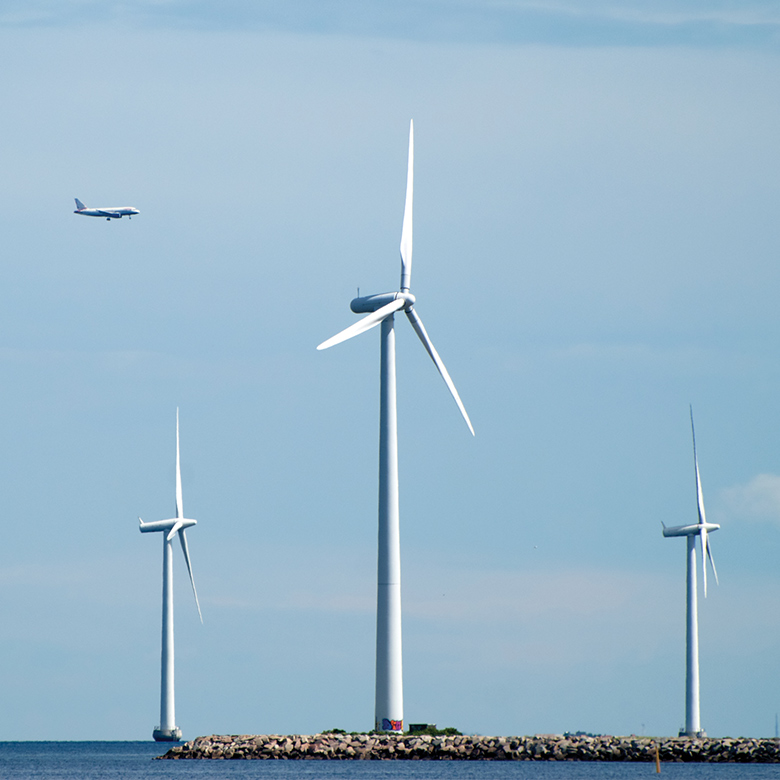The Carbon Neutral Travel Guide